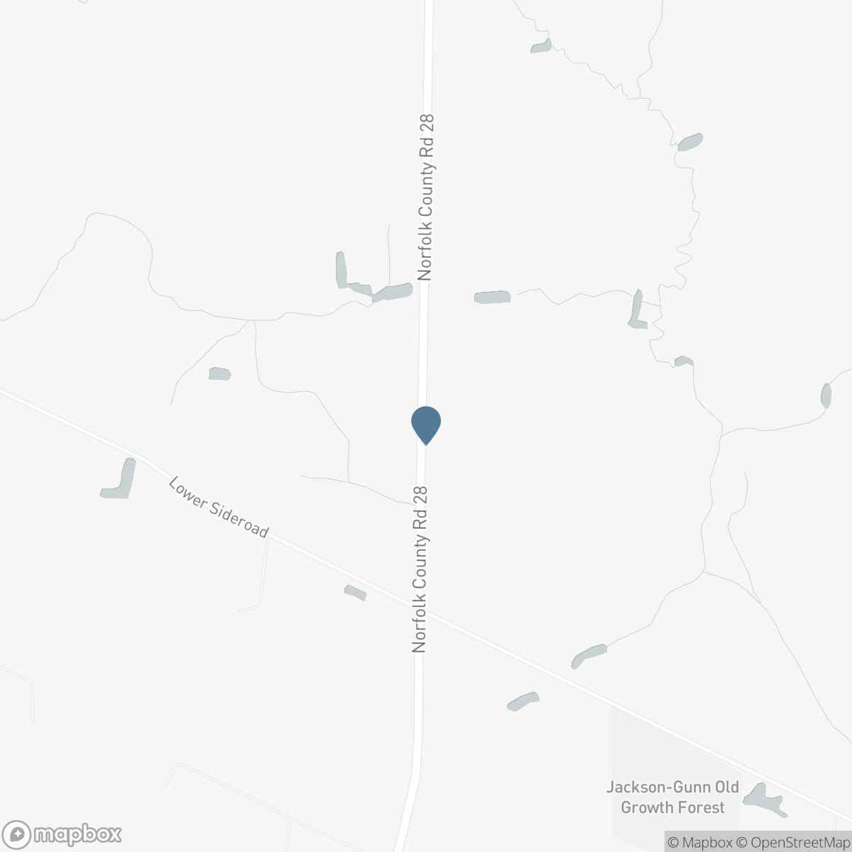226 Norfolk County Road 28, Langton, Ontario N0E 1G0